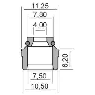 Retenes de valvula RMS para Piaggio 100669210