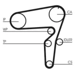 CONTINENTAL CTAM CT1105 Correa dentada