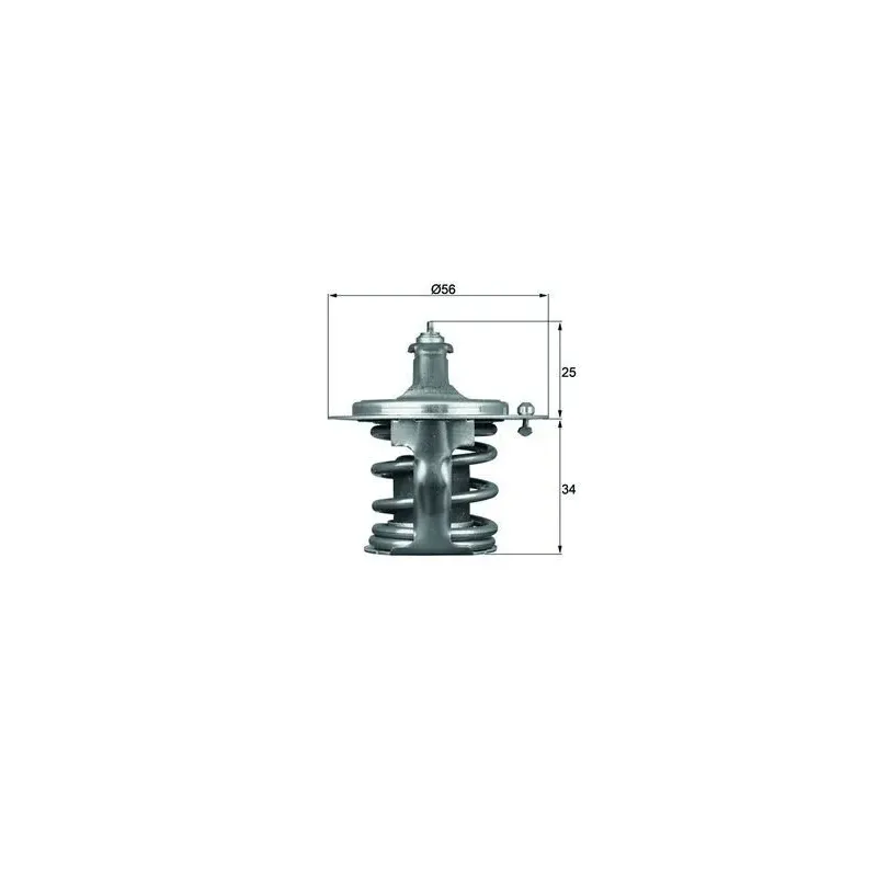 MAHLE TX 79 78D Termostato, refrigerante