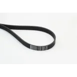 CONTINENTAL CTAM 6PK1698 Correa trapecial poli V