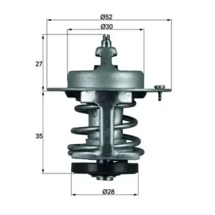 MAHLE TX 69 79 Termostato, refrigerante