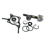 Kit Reparación Bomba De Agua Honda Foresight 250 - 37282010