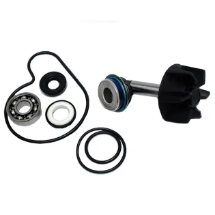 Kit Reparación Bomba De Agua Suzuki Burgman 250 - 37282025