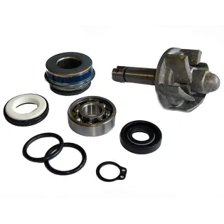 Kit Reparación Bomba De Agua Aprilia Leonardo 250 - 37282028