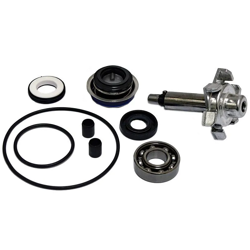 Kit Reparación Bomba De Agua Honda Sh-125 - 37282033