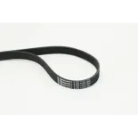 CONTINENTAL CTAM 6PK1733 Correa trapecial poli V