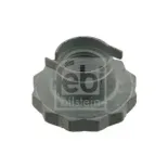 FEBI BILSTEIN 30028 Muñón de eje