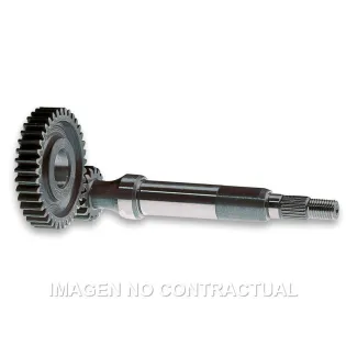 Desarrollo Primario Derbi Hunter. Paddock 6711542