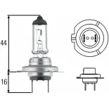 Lámpara para moto H7 12V 55W larga duración Amolux 779LL