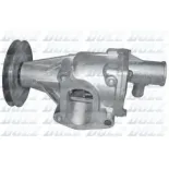 DOLZ S199 Bomba de agua, refrigeración del motor