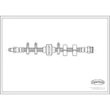 CORTECO 19026010 Tubo flexible de frenos