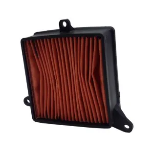 Filtro de aire Champion para moto Kymco CAF4007WS