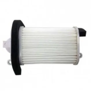 Filtro de aire Champion para moto CAF5509 CAF5509