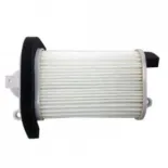 Filtro de aire Champion para moto CAF5509 CAF5509