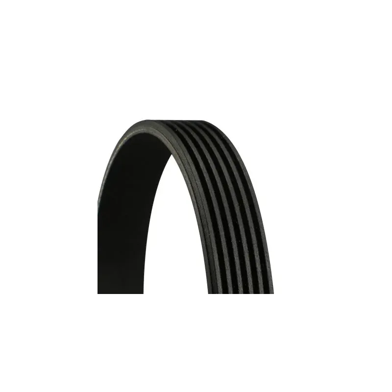 CONTINENTAL CTAM 6PK1805 Correa trapecial poli V