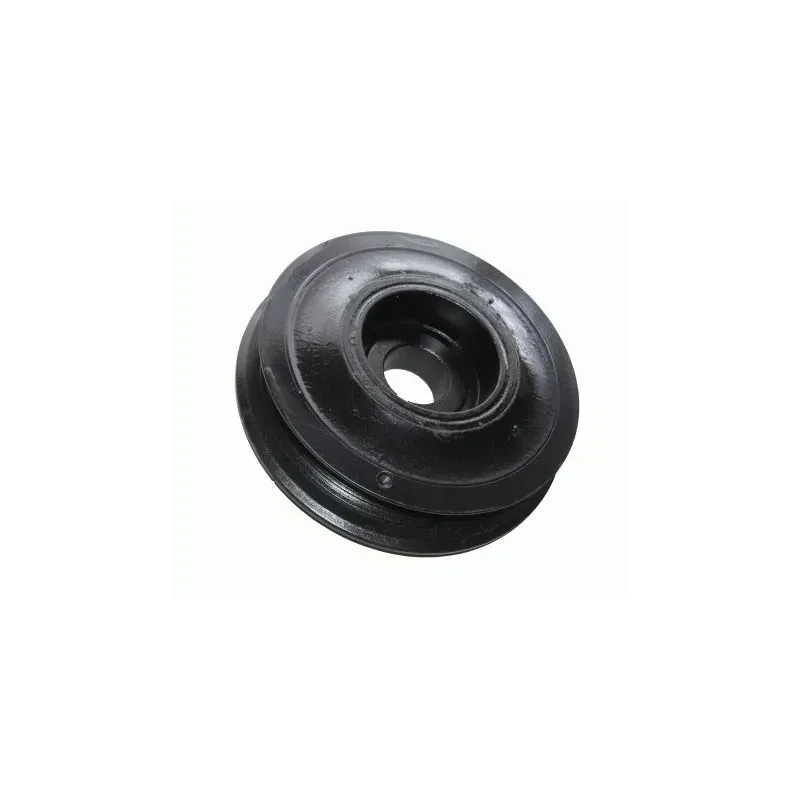 CONTINENTAL CTAM VD1031 Polea, cigüeñal