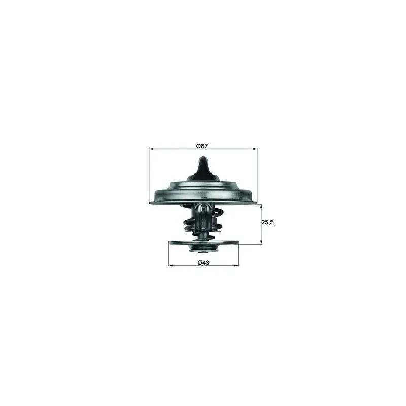 MAHLE TX 18 79D Termostato, refrigerante