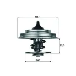 MAHLE TX 18 79D Termostato, refrigerante