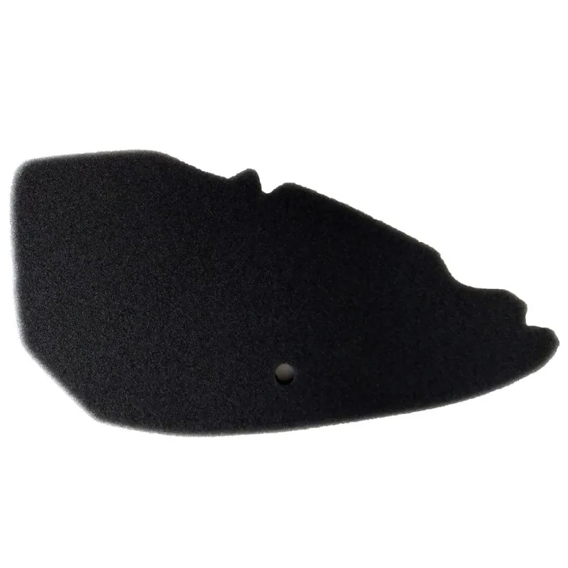 Filtro Aire Sgr Aspiracion Piaggio Free 50 - F081587