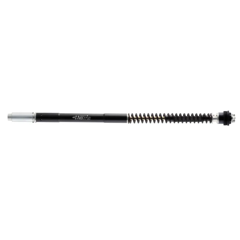 Kit de horquilla Matrix F25R BMW R Ninet 1200 F25B320R