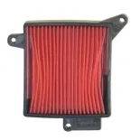Filtro Aire Sgr Daelim 125 S2 - F264464