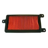 Filtro Aire Sgr Kymco Agility City R16 - F264628