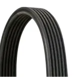 CONTINENTAL CTAM 6DPK1697 Correa trapecial poli V