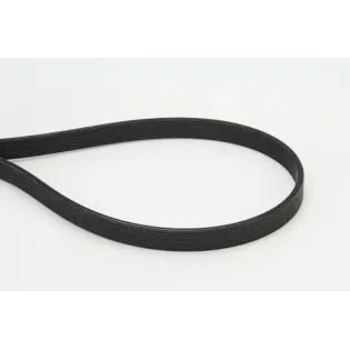 CONTINENTAL CTAM 6DPK1817 Correa trapecial poli V