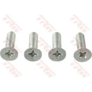 Tornillos disco de freno moto TRW MSS112-4