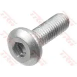 Tornillos disco de freno moto TRW MSS121-6