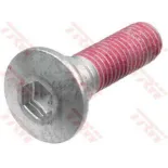 Tornillos disco de freno moto TRW MSS122-4