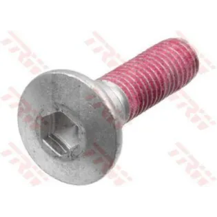 Tornillos disco de freno moto TRW MSS122-5