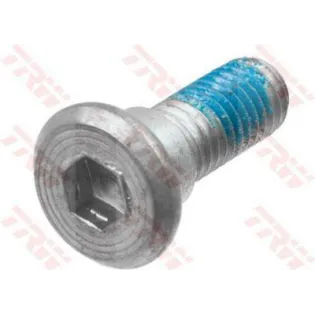 Tornillos disco de freno moto TRW MSS123-3