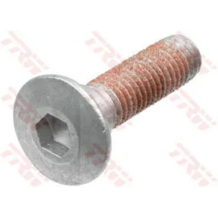 Tornillos disco de freno moto TRW MSS125-3