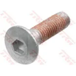 Tornillos disco de freno moto TRW MSS125-3