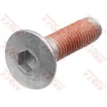 Tornillos disco de freno moto TRW MSS125-4