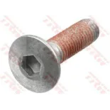 Tornillos disco de freno moto TRW MSS125-5