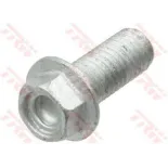 Tornillos disco de freno moto TRW MSS131-5