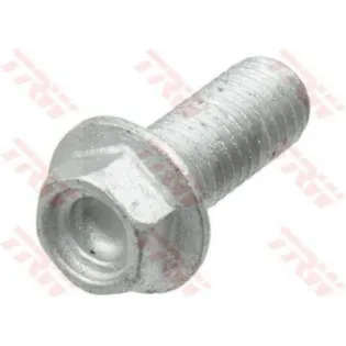 Tornillos disco de freno moto TRW MSS131-6