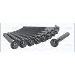 AJUSA 81028100 Juego de tornillos de culata