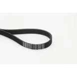 CONTINENTAL CTAM 6PK1538 Correa trapecial poli V
