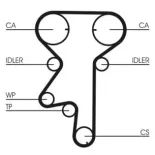 CONTINENTAL CTAM CT975 Correa dentada