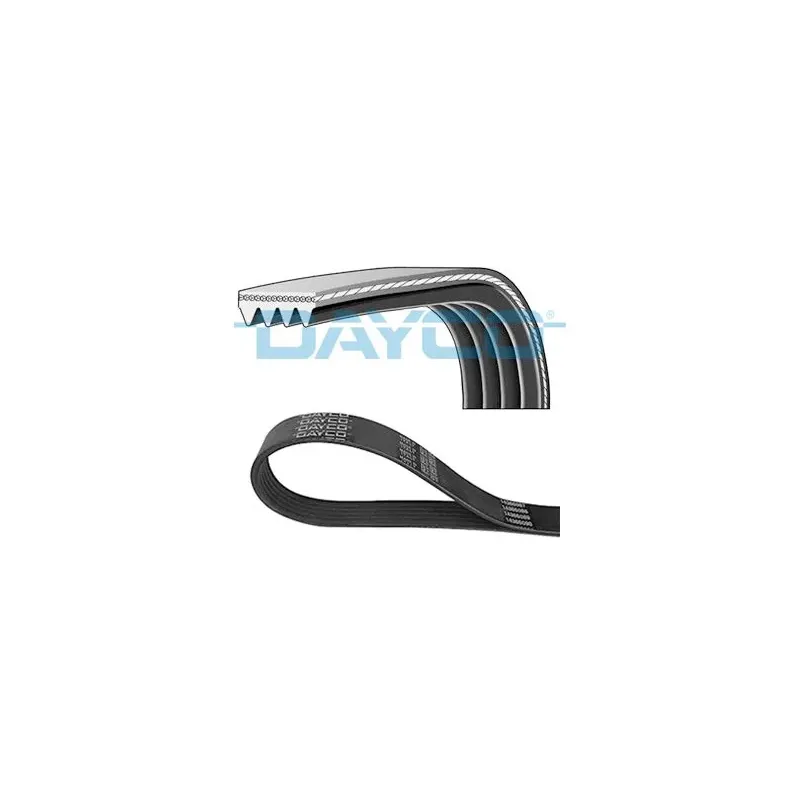 DAYCO 4PK1538 Correa trapecial poli V
