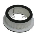 Filtro Aire Meiwa Carter Yamaha T-Max 530 - F264761