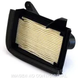 Filtro Aire Meiwa Carter Yamaha Tmax 530 - F265127