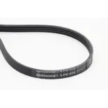 CONTINENTAL CTAM 4PK970 Correa trapecial poli V