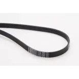 CONTINENTAL CTAM 6PK2404 Correa trapecial poli V