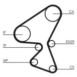 CONTINENTAL CTAM CT1063 Correa dentada