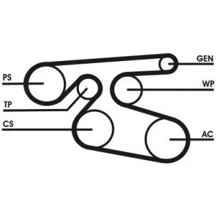 CONTINENTAL CTAM 7PK2000 Correa trapecial poli V