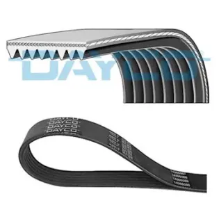 DAYCO 8PK1289HD Correa trapecial poli V